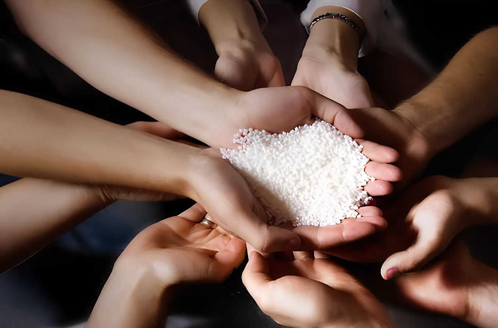 Hình ảnh nhiều bàn tay chung tay nâng niu gạo tượng trưng cho hoạt động thiện nguyện vì cộng đồng của MDP Group